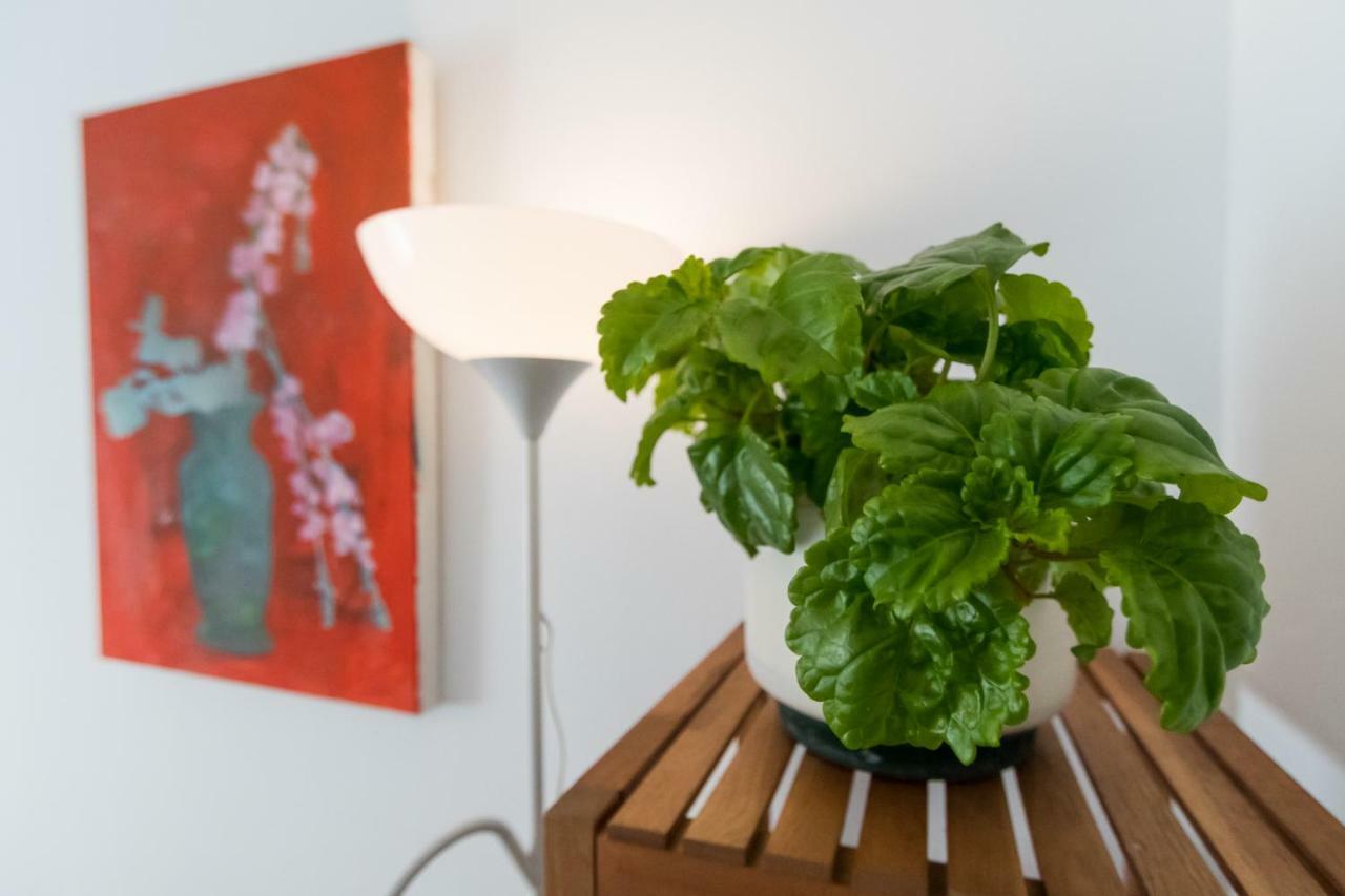 Apartamento La Galeria De San Antonio Кадис Екстериор снимка
